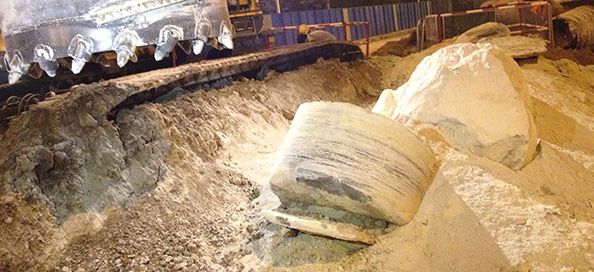 Ruilister Engineering Machinery Application