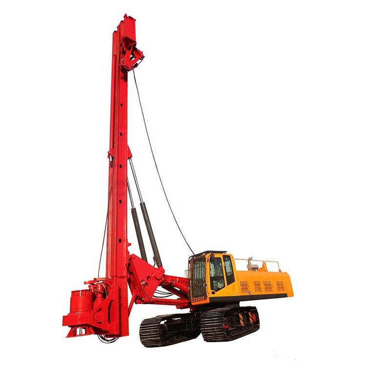 rotary drilling rig